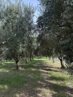 /album/galleria-di-foto/whatsapp-image-2025-10-12-at-15-47-47-1-jpeg/